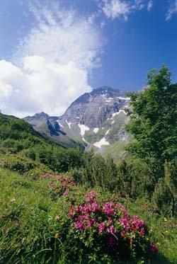 Gaestehaus Danler Neustift im Stubaital Exteriér fotografie